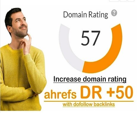 ドメイン評価 DR 50 ahref を上げるます ドメイン評価 DR 50 ahref を上げる イメージ1