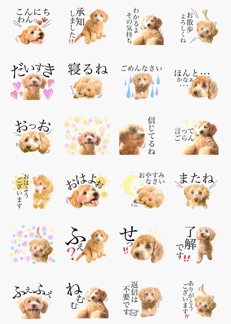 オリジナルLINEスタンプ作ります お値下げ中！お子様やペットの写真を使ってスタンプを作ります♪ イメージ2