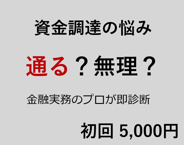 資金調達の可能性を徹底診断します 融資・補助金・助成金を総合分析 イメージ1