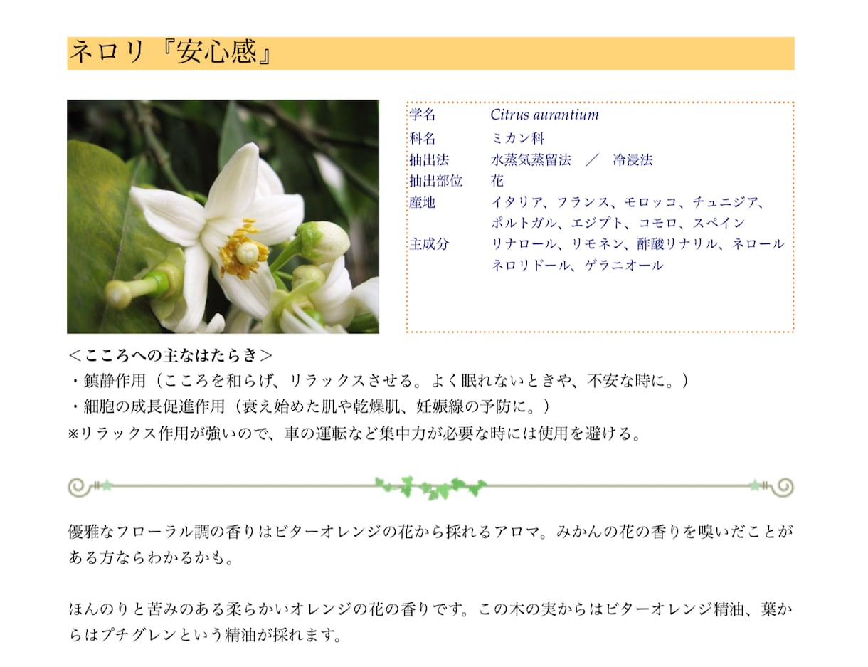 こころに寄り添うアロマ50種：レポートを提供します 【大人の学び】アロマテラピーをセルフケアに役立てたい人へ。 イメージ2