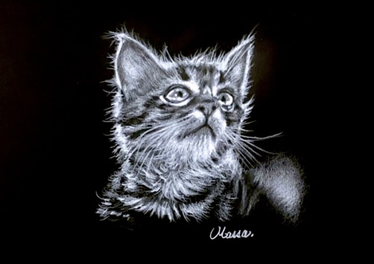 黒紙に白色鉛筆でリアルな絵を描きます 他にはない黒紙に白色鉛筆だけでリアルな質感で絵を描きます イメージ3