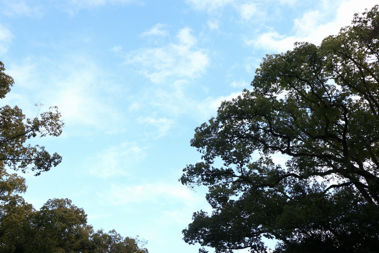 アナタのお悩み、なんでも聞きます 霊感霊視で見えたことを伝え、幸せへのお手伝いします。 イメージ1