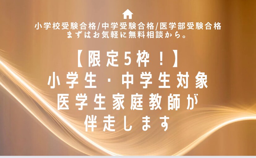 現役国立医学生が丁寧に学習指導します E判定から逆転医学部合格した医学生があなたの学習に伴走します イメージ1