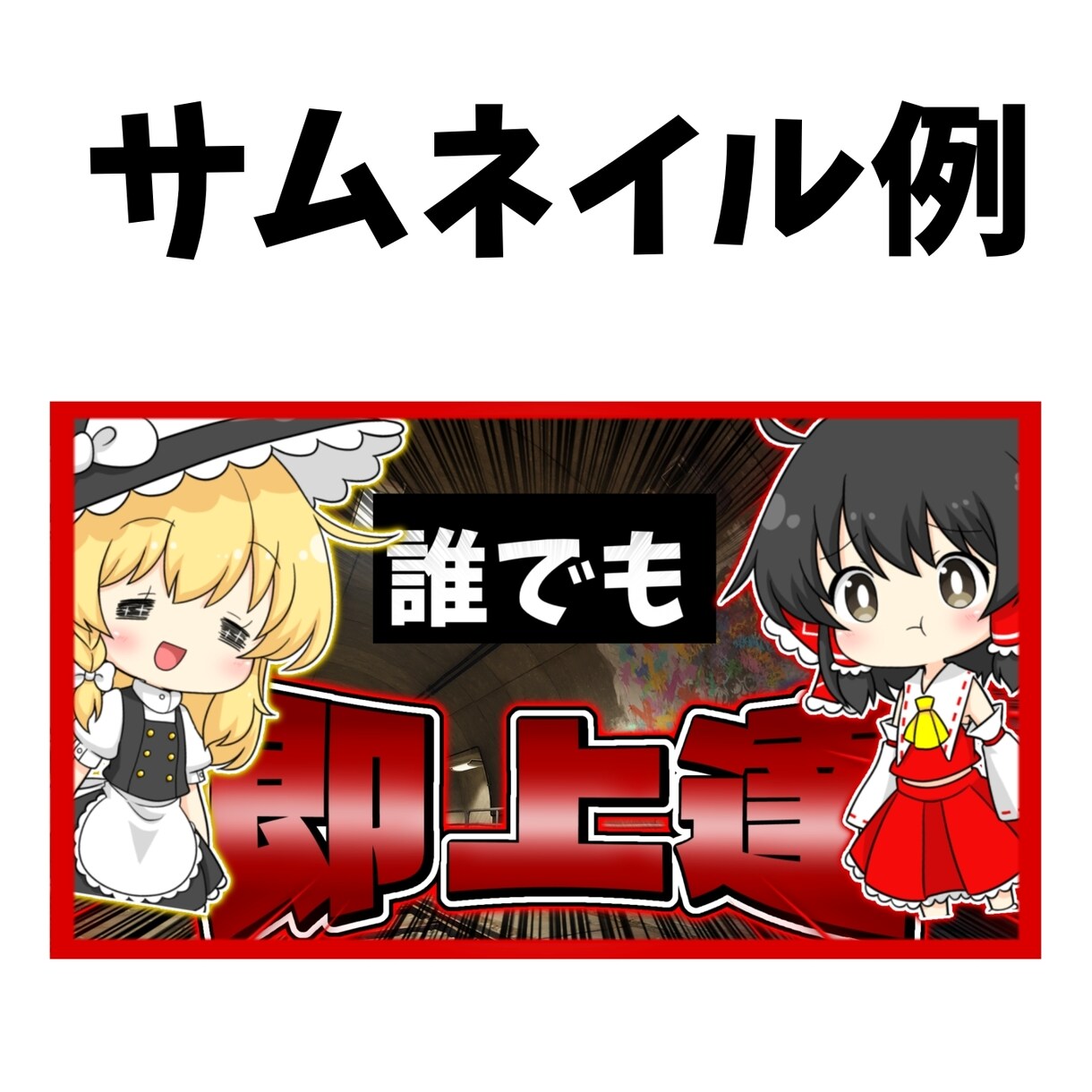 台本のみでゆっくり動画、ずんだもん動画作成します 高品質な動画を最短でご提供します！ イメージ2