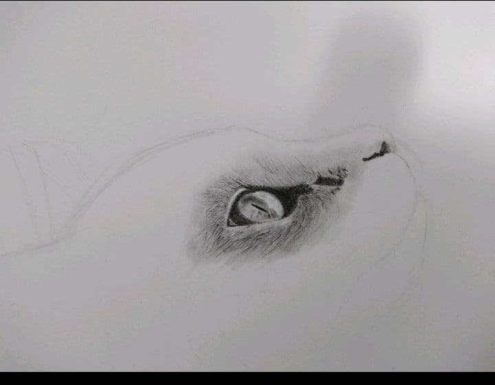 愛犬、愛猫、ペットのリアルな似顔絵オーダー承ります 精密描写で描きます。インテリアアートなどにいかがでしょうか。 イメージ8