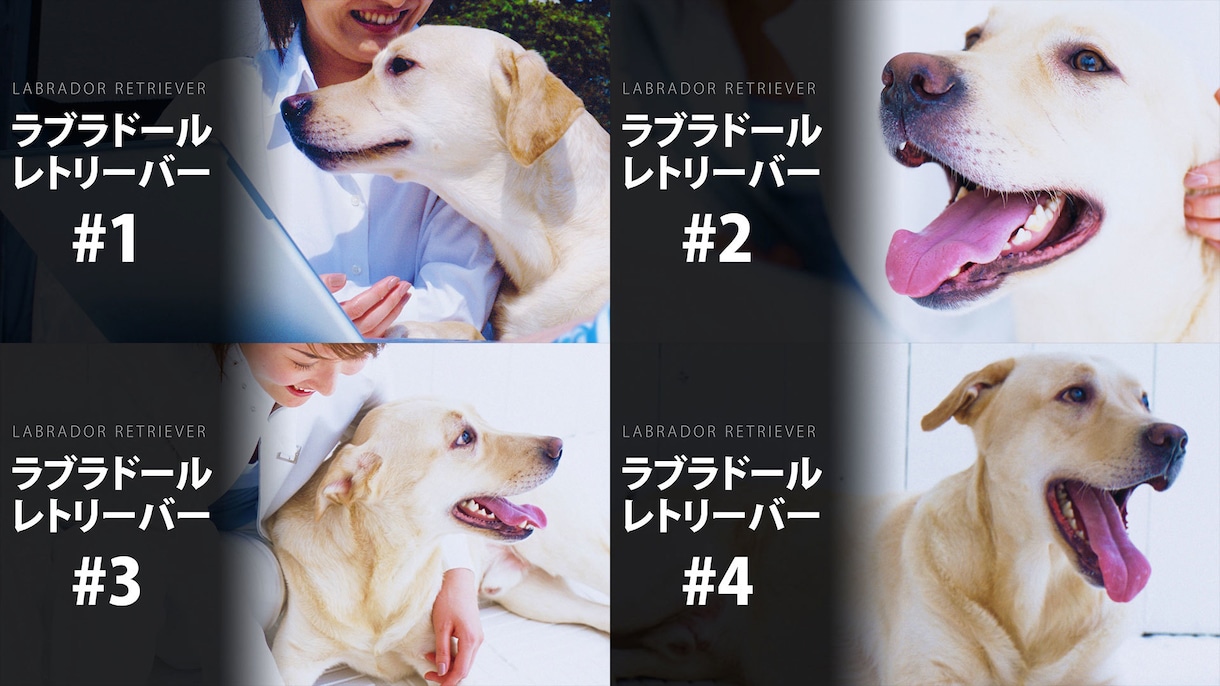 デザイン固定のYoutubeサムネイル4枚作ります 決まったフォーマットで4枚1000円　黒バック文字白抜き イメージ4