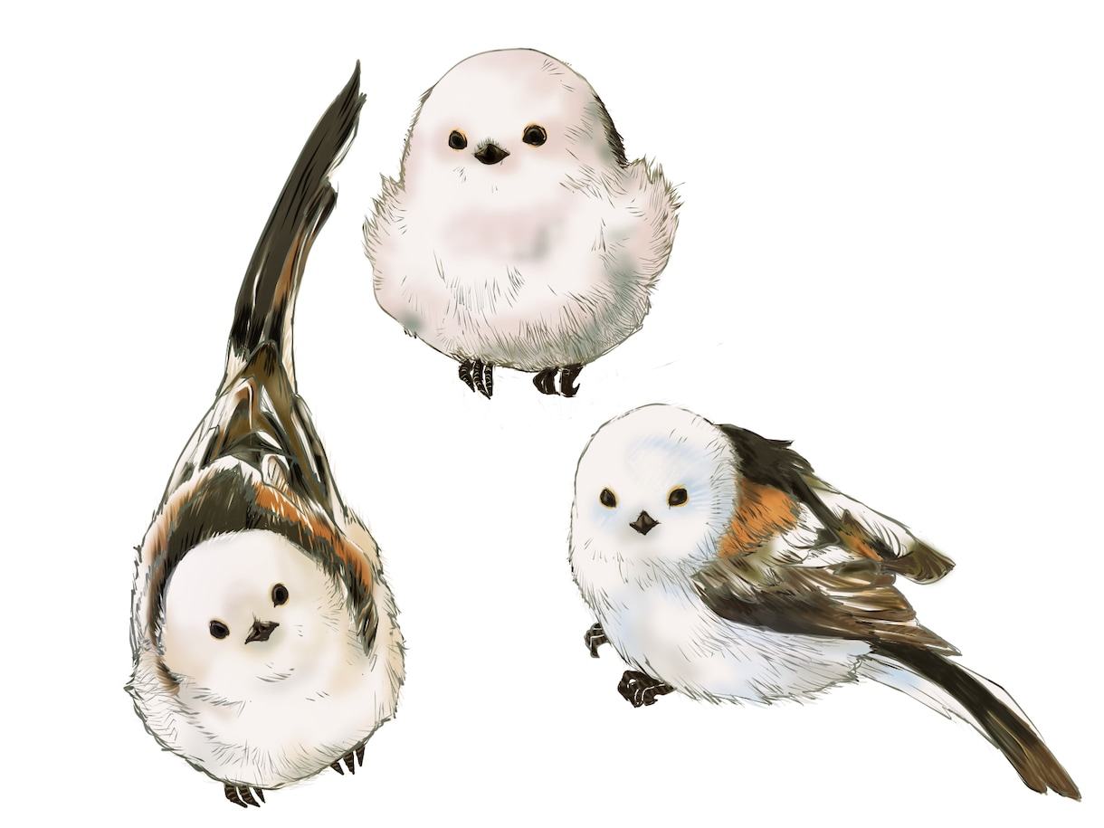 動物イラスト作成します リアルな精密画からデフォルメまで イメージ5