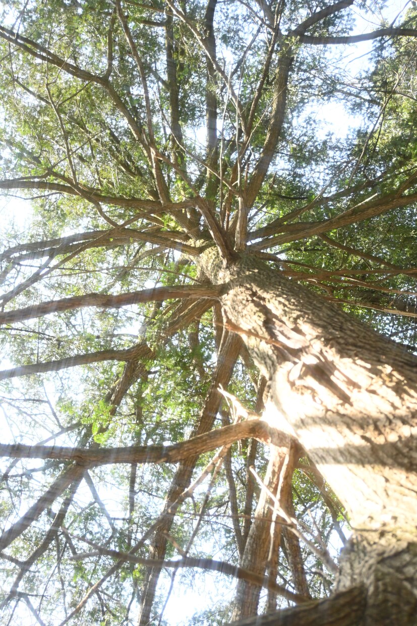 恋愛のお悩み、お話聞きます 夜のお仕事で得た知識や情報があなたのお役にたちますように イメージ2