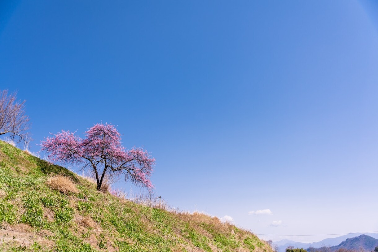 誰にも言えない秘密の悩みを受け止めお聞きします 5分でもOK❗️大丈夫❣秘密の恋愛、不安、愚痴をスッキリ傾聴 イメージ9
