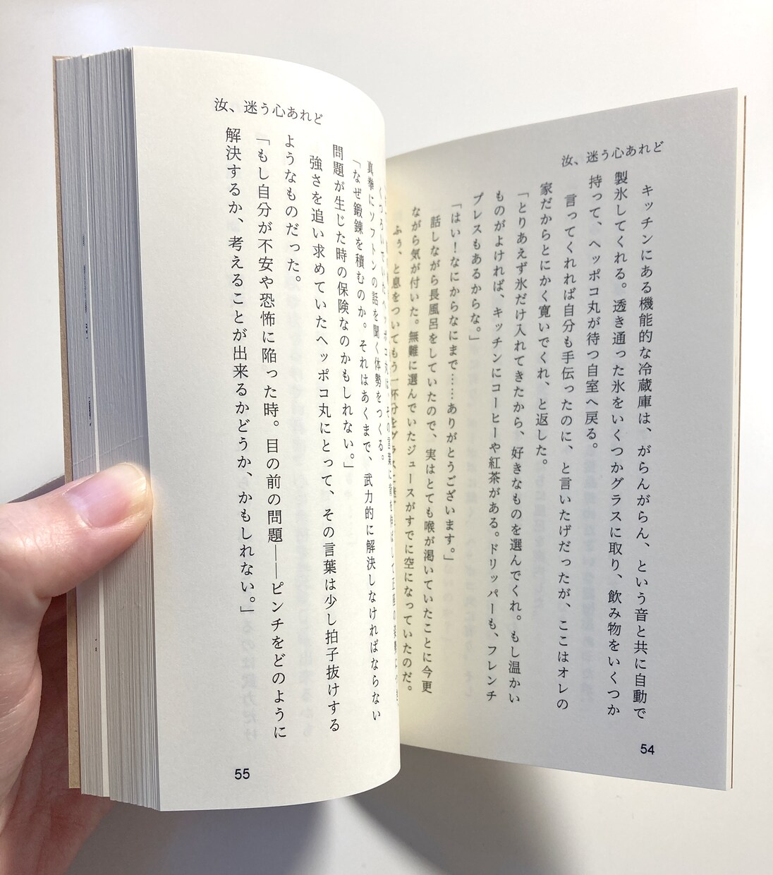 あなたの書いた小説の装丁を読みやすいデザインします 本の装丁って意外と難しい？読みやすい本のデザインをします！ イメージ7
