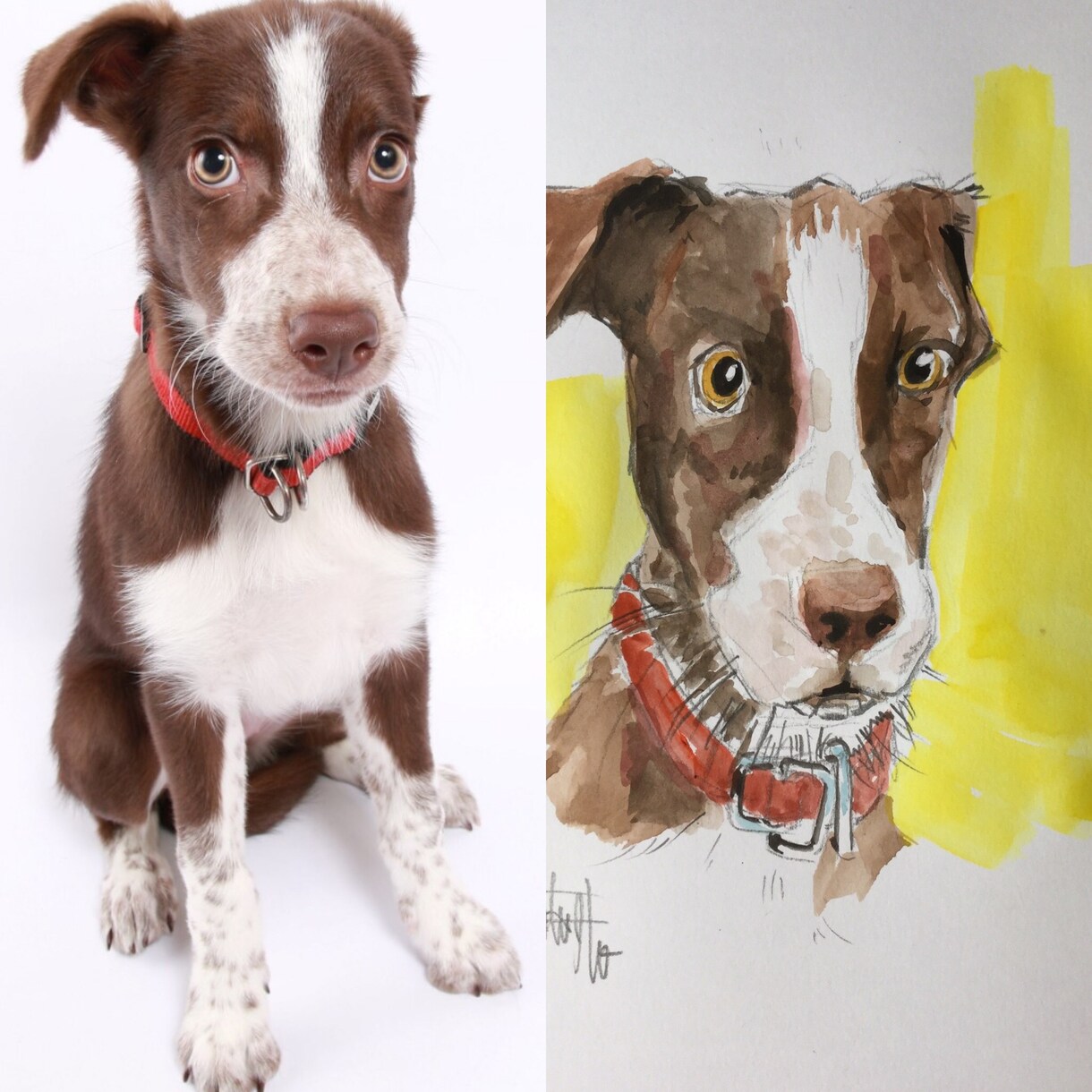 ペットの似顔絵制作します ワンちゃんの似顔絵制作します。 イメージ1