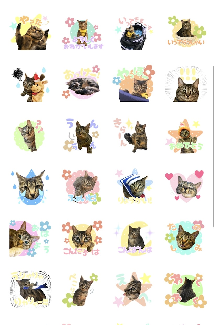 大切なペットのオリジナルLINEスタンプ作ります LINEでもペットと楽しく⭐︎ イメージ2