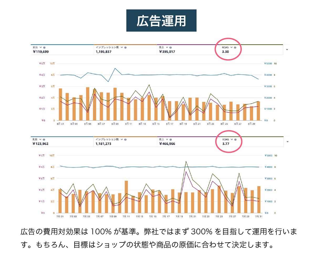 楽天物販を継続的に成長させる方法を教えますます 現役ECコンサルタント監修！売上アップのコツを徹底解説 イメージ8