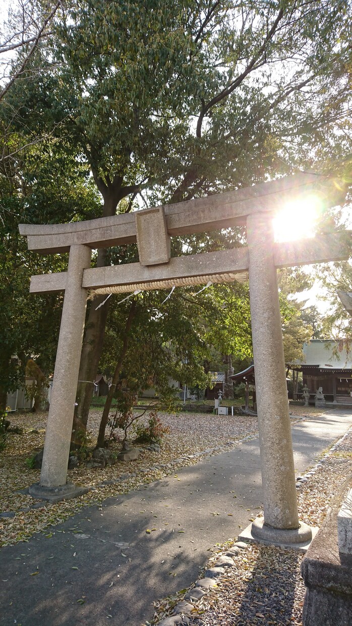 レイキヒーリングで身体を癒します 臨床経験多数あります♪医療知識も詳しいです。 イメージ1