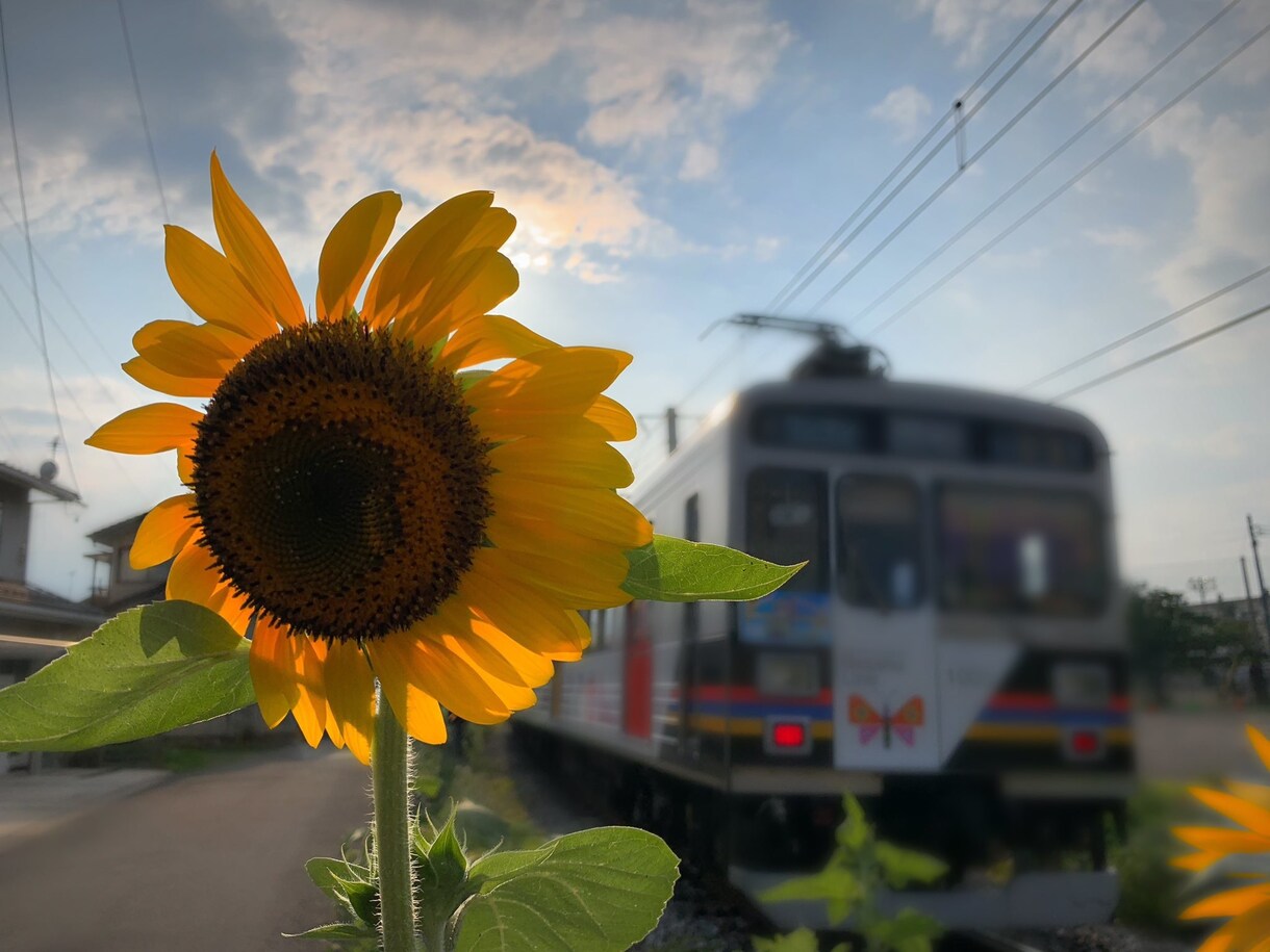 長野県上田市の風景をご提供します 住んでいないとわからない！自然と人の営みが美しい上田市の写真 イメージ2
