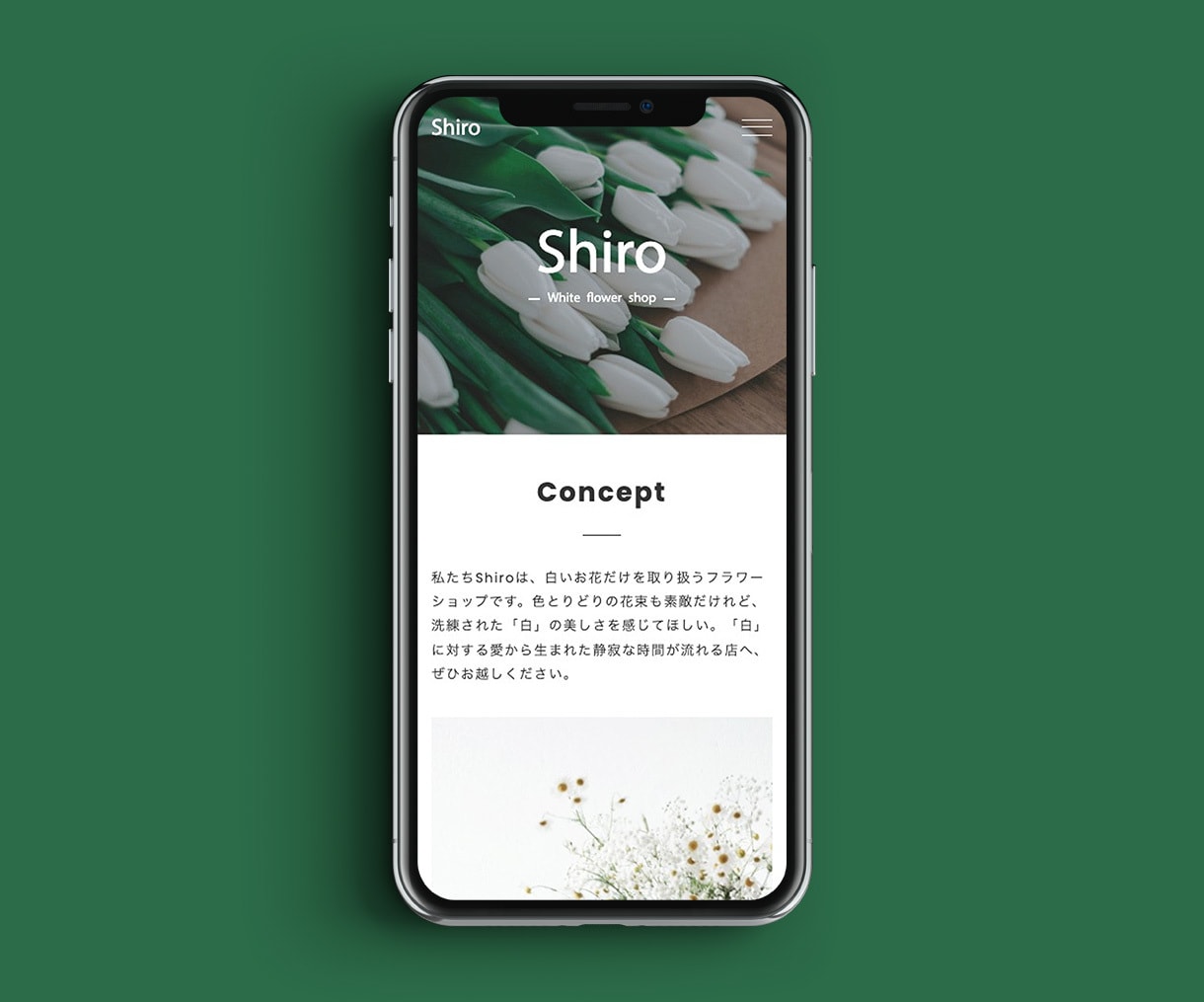 丸投げOK！LPコーディングを代行します LPの成果UPにかかせない表示速度対策付き！ イメージ3