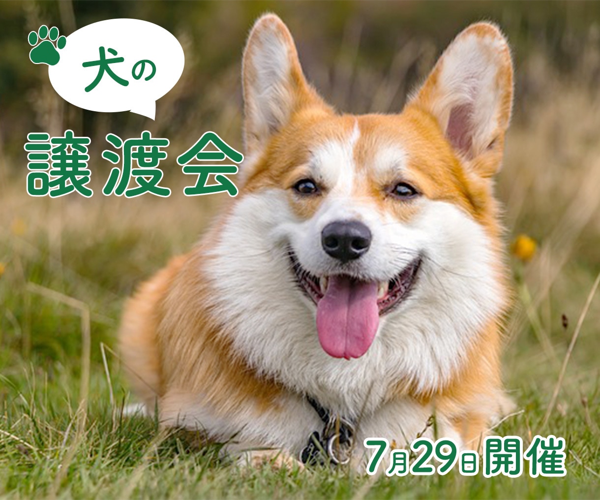 格安！全サイズ【1枚1500円】でバナー制作します 集客・売上UPを重視したデザインを作成 イメージ8