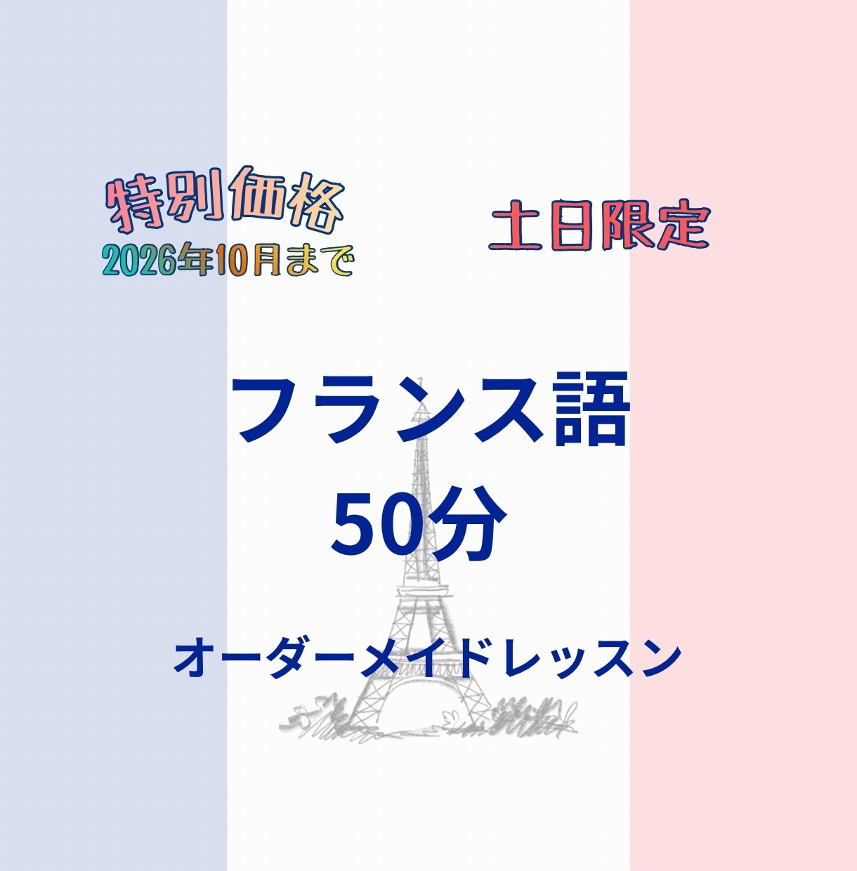 フランス語50分オーダーメイドレッスンします 【2026年10月まで】仏検1級•C1のお母ちゃん先生 イメージ1