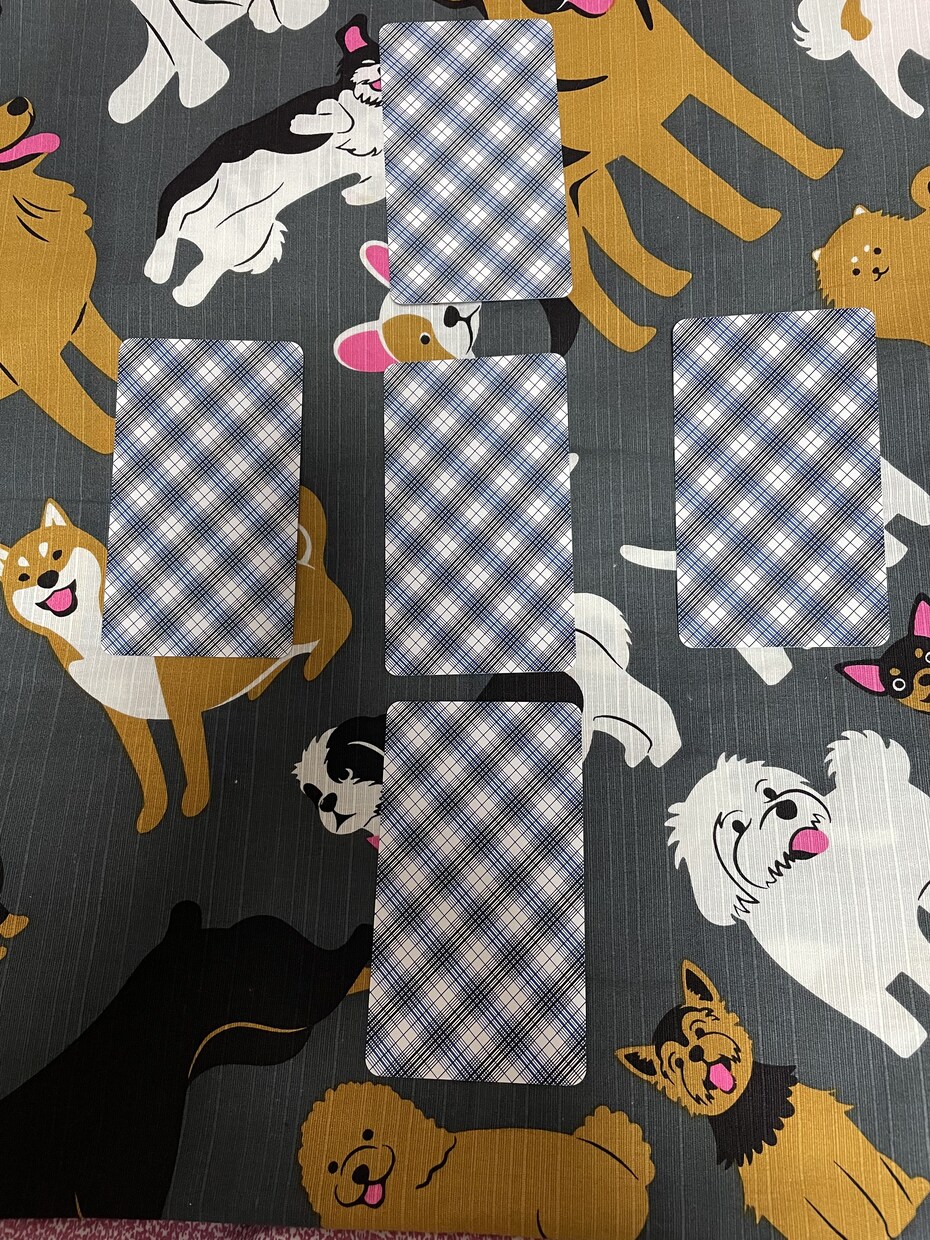 恋愛の出会いについて占います 恋愛の出会いについてのタロットとオラクルカードのスプレッド イメージ1