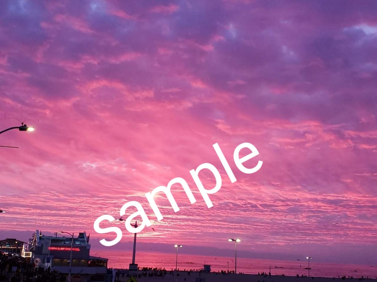 NY、ラスベガス、LA、ディズニーの写真提供します 全部で628枚☆アメリカ☆用途指定なし☆即提供可 イメージ10