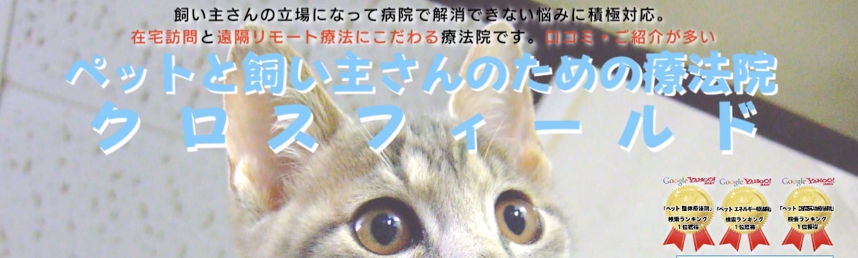 ペットヒーリング気功で元気回復を促します プロペットヒーラーの高レベルのヒーリングが受けられます。 イメージ2