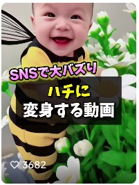 ショート動画で集客UP｜SNS特化の動画編集します Web動画、YouTube、企業PR、SNS用など イメージ2
