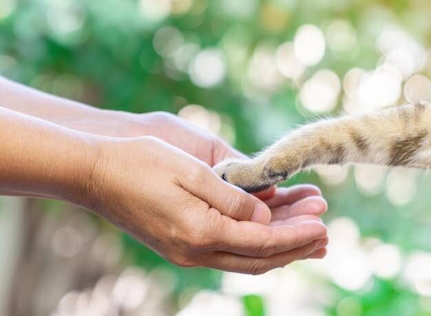 当てる！ではなくこの先のヒントになる鑑定します 4ページ分の鑑定で未来へ道案内！手相を知る事が強みを知る近道 イメージ9