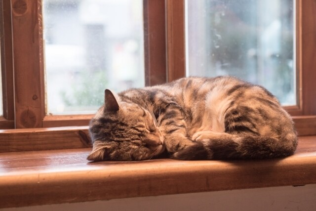 眠くなるまであなたに寄り添います 最後に必ずおやすみなさいをお伝えします イメージ7