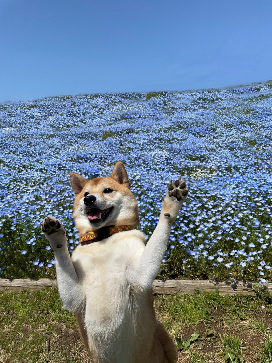 photoshopにて画像加工いたします せっかく綺麗に取れた写真のちょっとした加工承ります。 イメージ2