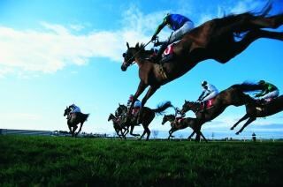 競馬の予想します 競馬での回収率を上げたい方はぜひ イメージ1