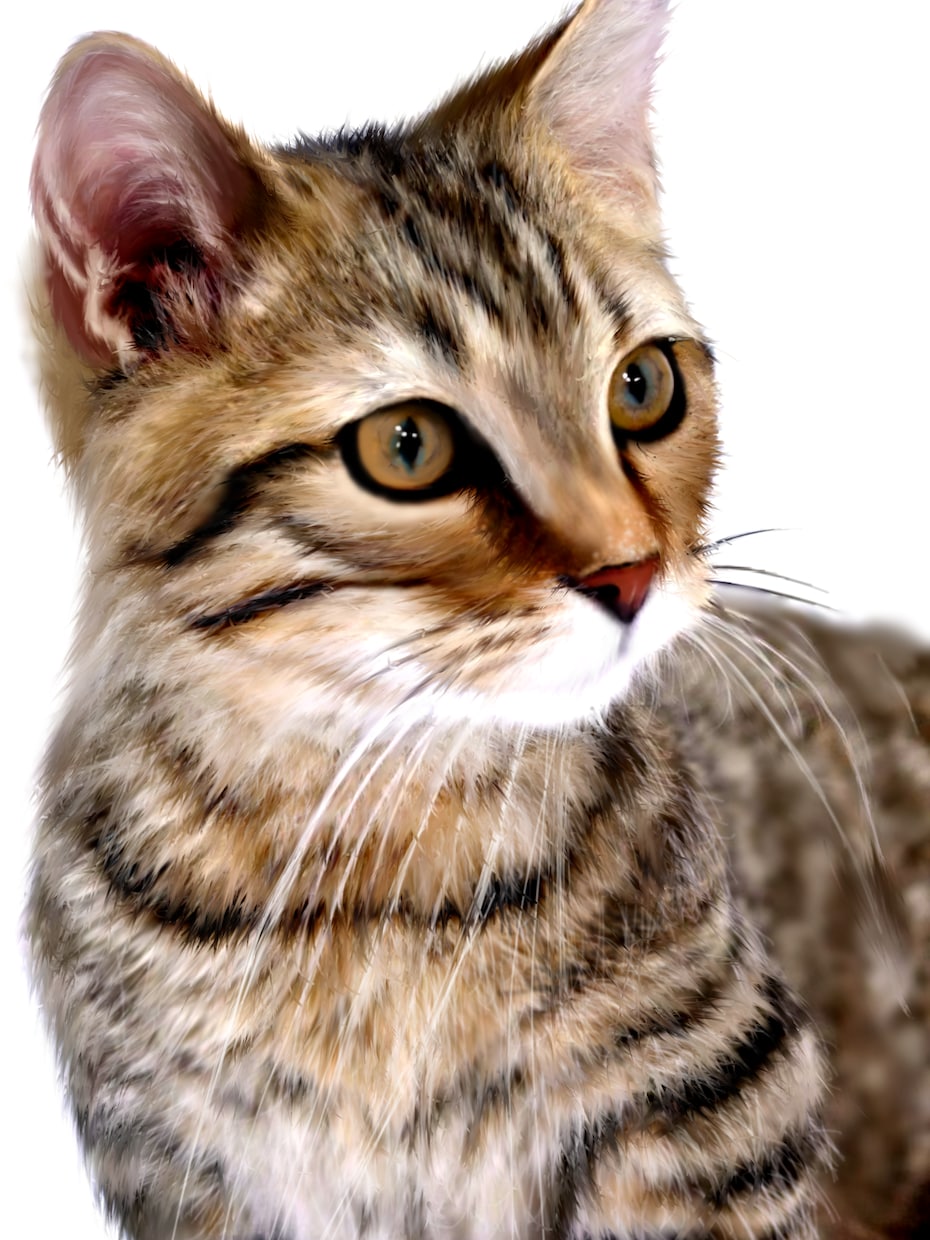 デジタルでリアルな絵を描かせて頂きます ご自身の似顔絵、お飼いになっているペットなど イメージ1