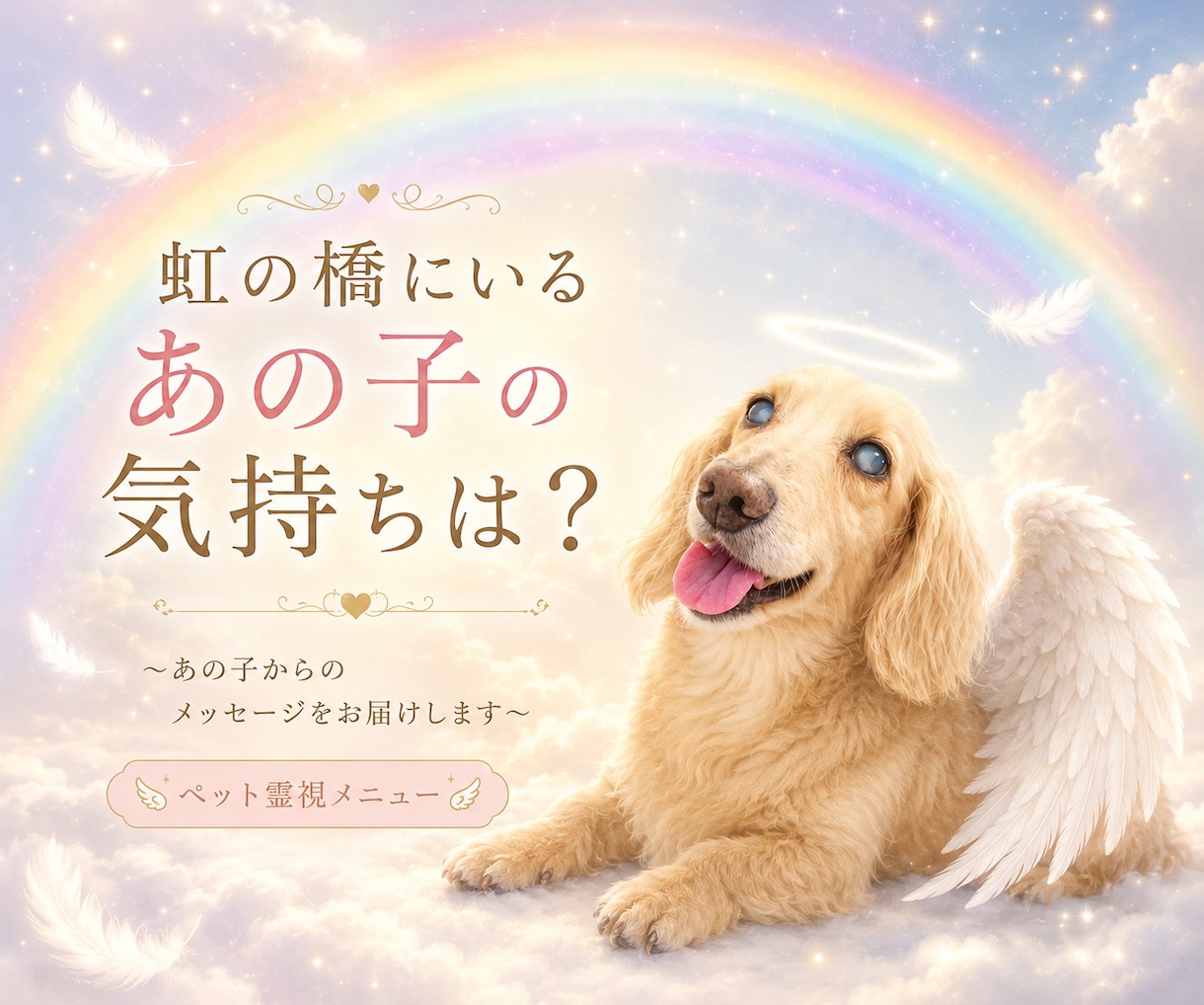 虹の橋にいるあの子の想いを受け取ります 言えなかった言葉を、やさしく届けましょう イメージ1