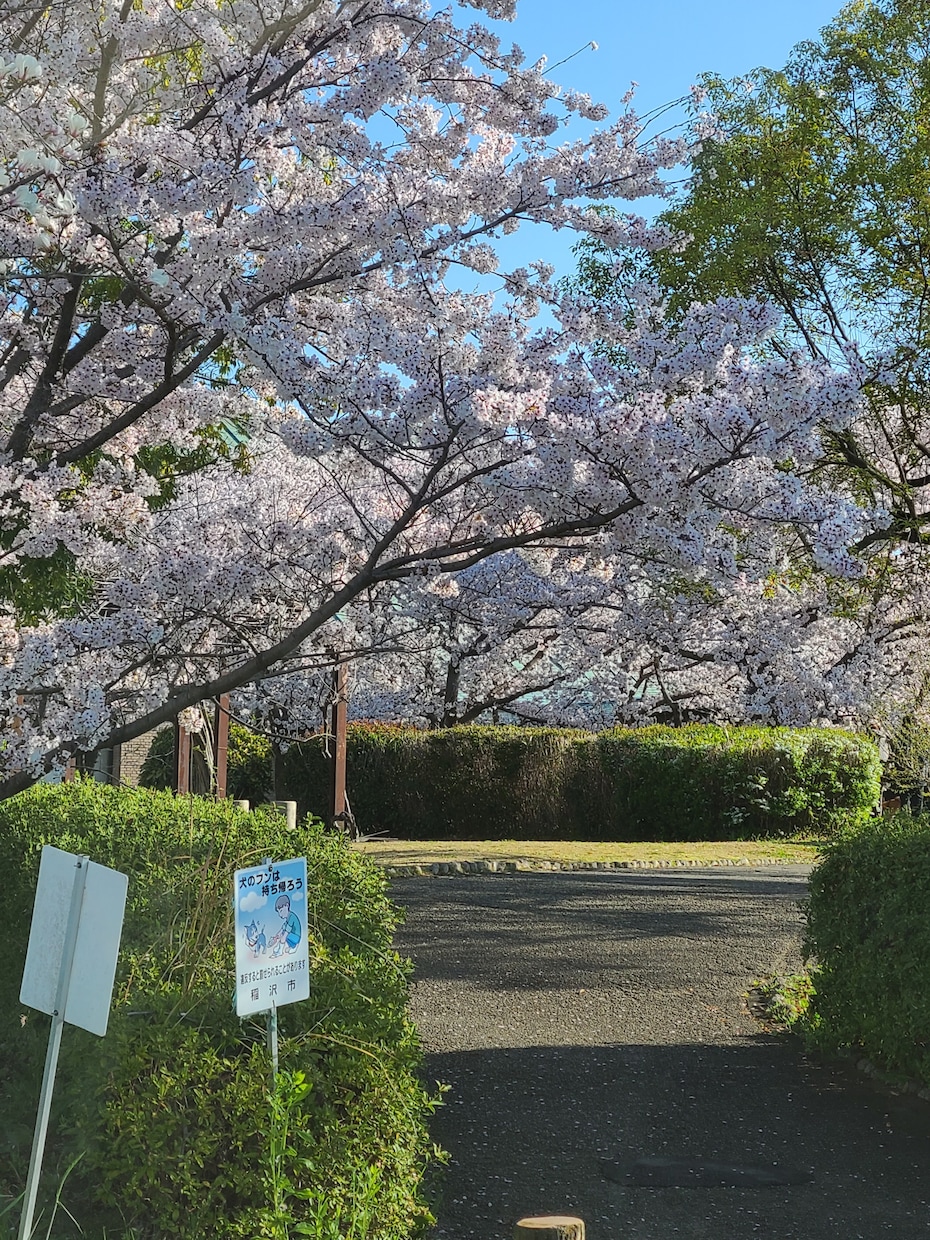 福祉に関わって20年＊ちょっとした話も伺います 勿論！短くてもあなたのお話をじっくり、しっかり伺います＊ イメージ3