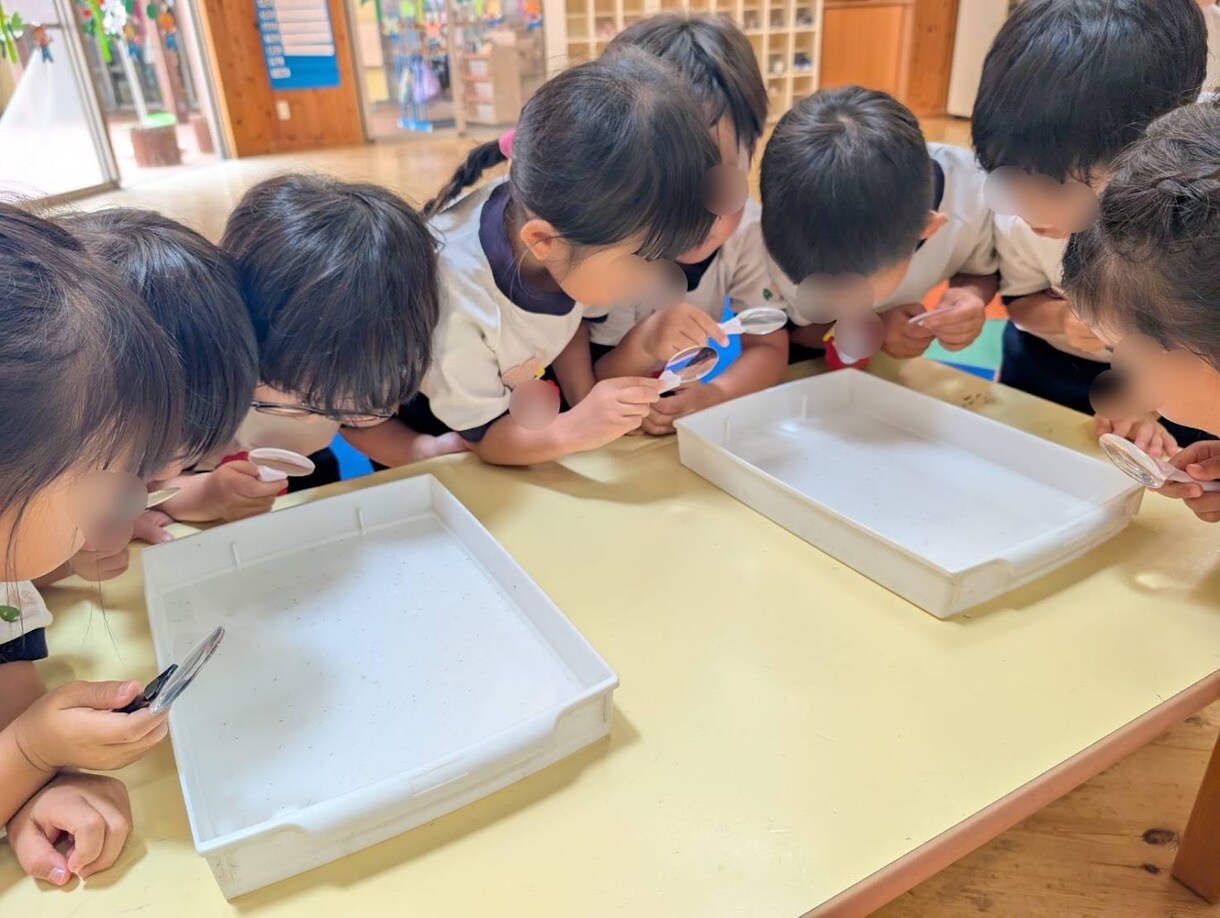 ホタルの専門家が飼育・生態の疑問にお答えしますます ホタルの飼育・生態・環境づくりまで、お気軽にご相談ください。 イメージ6