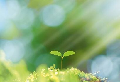 傾聴カウンセラーがあなたを受容し肯定します 自己肯定感が低い、マイナス思考が止まらない…から解放されたい イメージ4