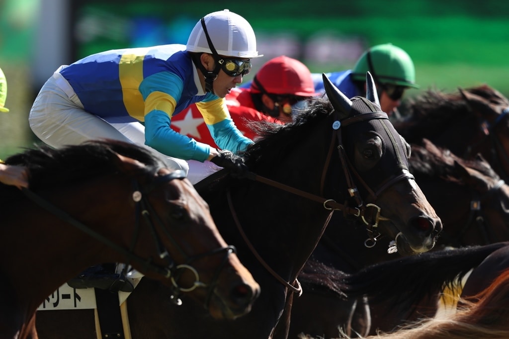 新潟競馬予想☆小頭数で的中目指します オッズ無視の人気に左右されない予想をしています☆ イメージ1