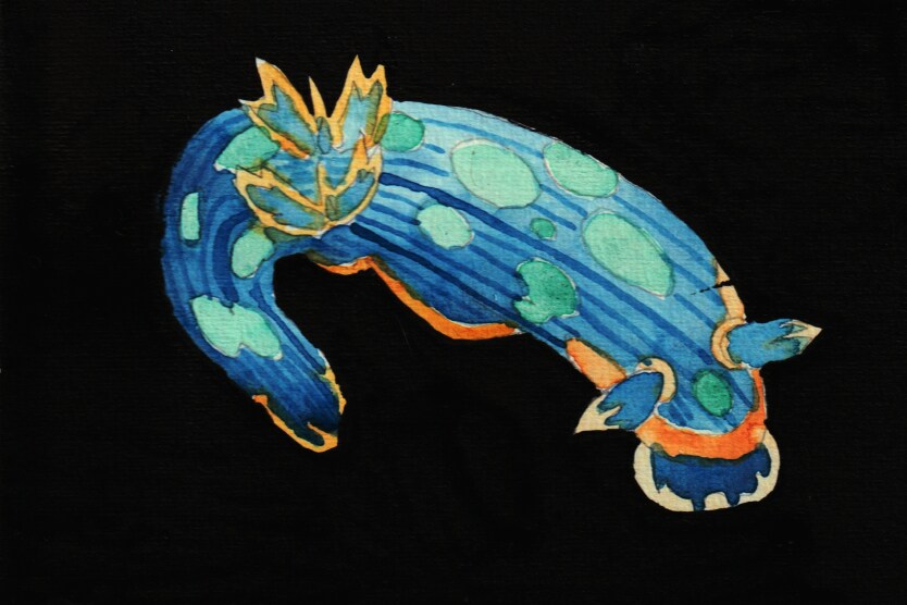 海の生き物のイラストを描きます 海の生き物をほのぼのタッチでお描きいたします。 イメージ3