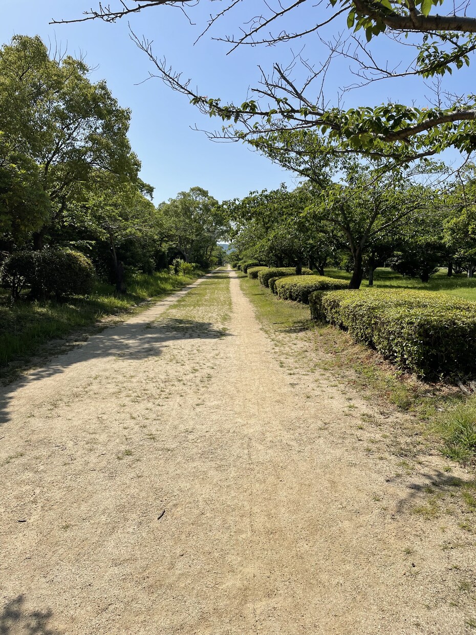 どんな話でも聞きます 秘密厳守、安心して話してください。 イメージ2
