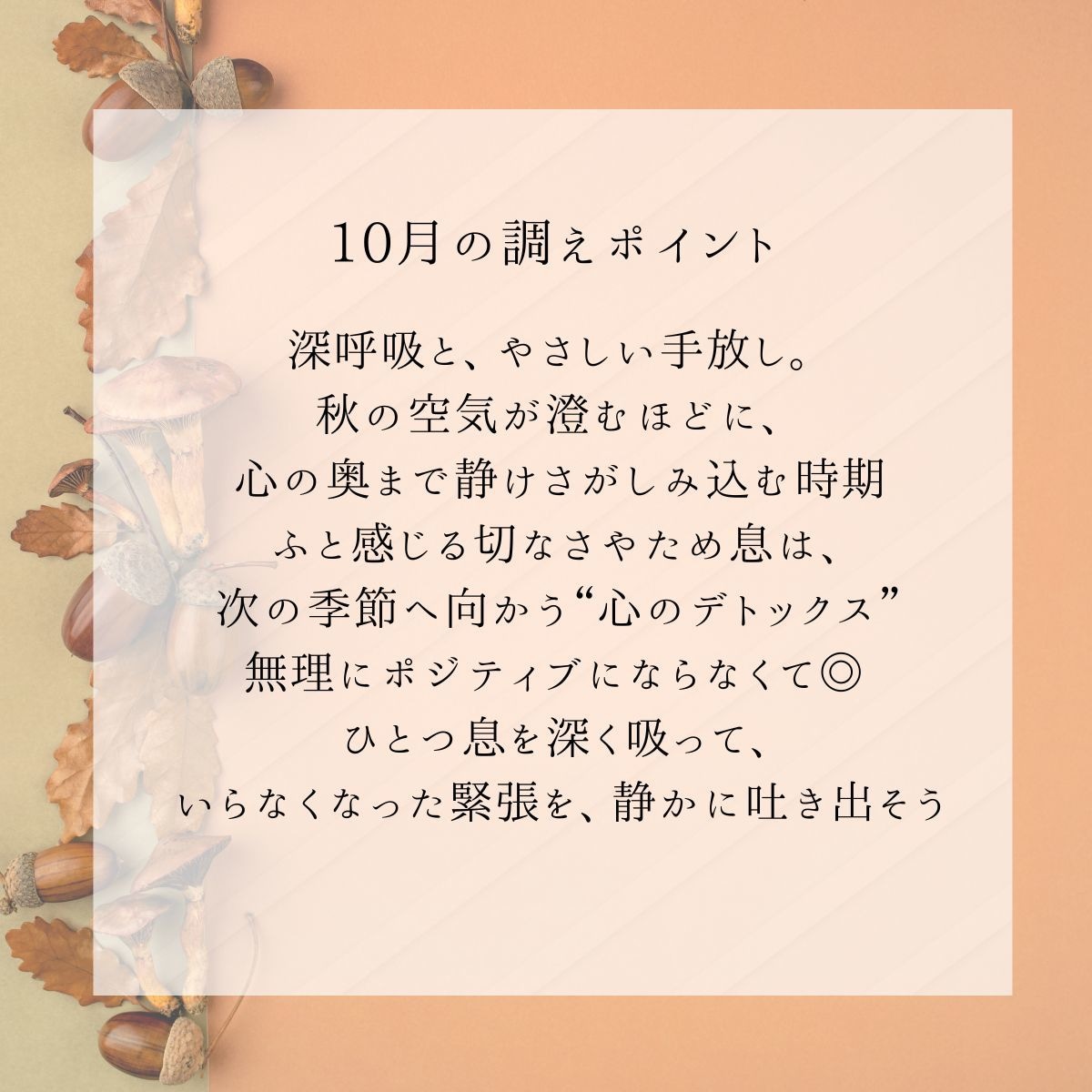 秋の恋愛を深める♡やさしいタロット占いします 生年月日不要♡季節の気とタロットで心を整え恋を優しく深めます イメージ8