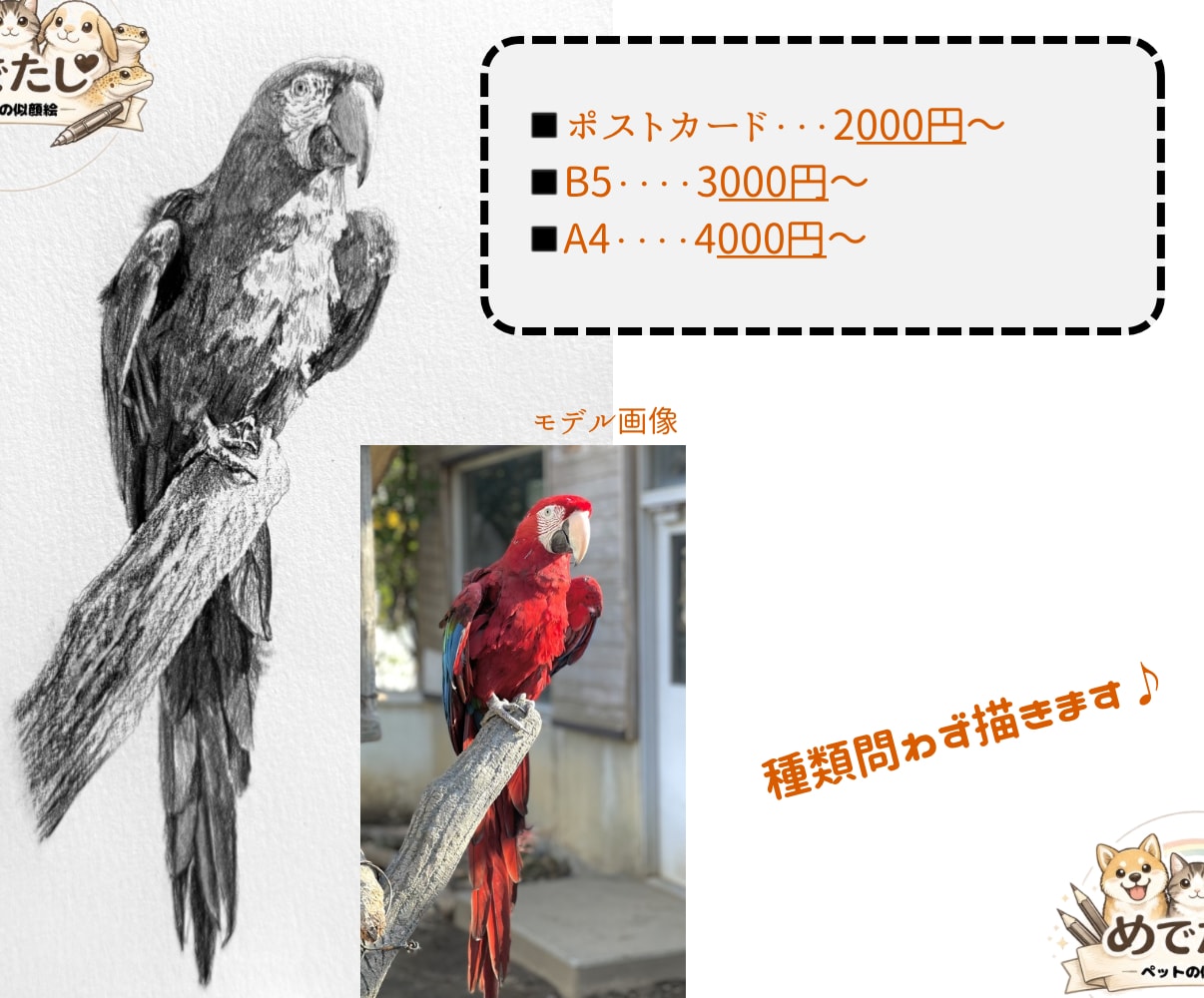原画郵送♪  大切なペットを鉛筆でリアルに描きます 原画郵送/リアルな鉛筆スケッチ画/ポストカード〜A4まで イメージ2