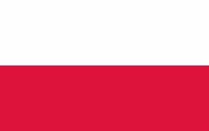 ポーランド語⇄日本語の通訳・翻訳致します ポーランド語⇄日本語の通訳・翻訳致します。 イメージ1