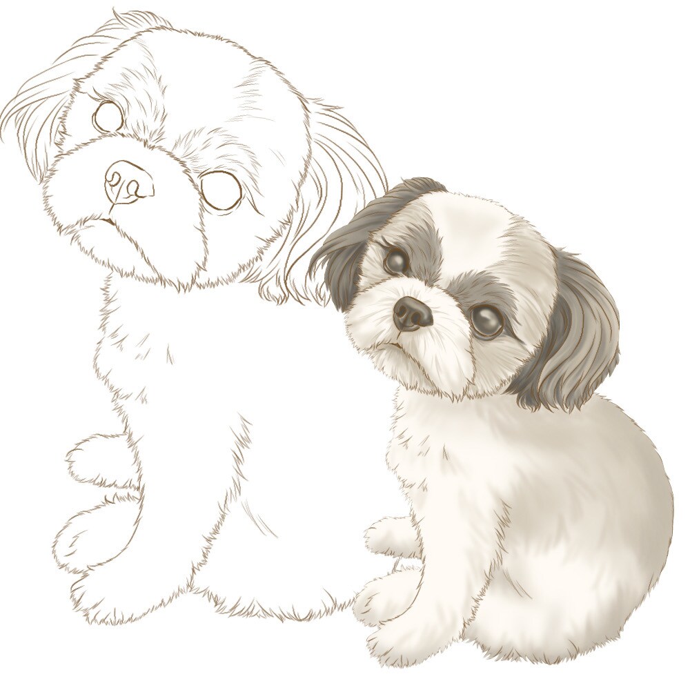 うちの子塗り絵お描きします ペットなどのお好きな動物を自分色で彩ってみませんか イメージ6