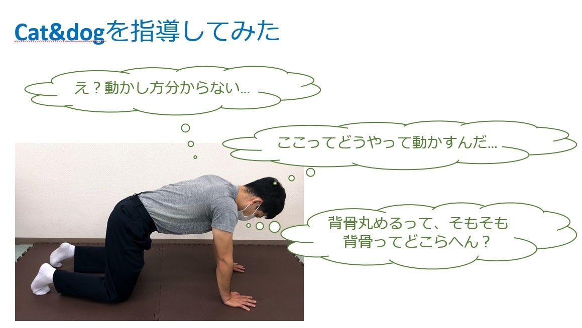 現役理学療法士が勉強会・学会発表の資料作成します 勉強会や発表でのパワーポイントでの資料作成いたします。 イメージ7