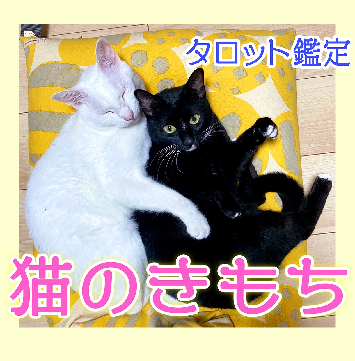猫ちゃんの気持ち伝えます 愛猫の気持ちをタロットで視ます◆虹の橋を渡った子の鑑定も可 イメージ1
