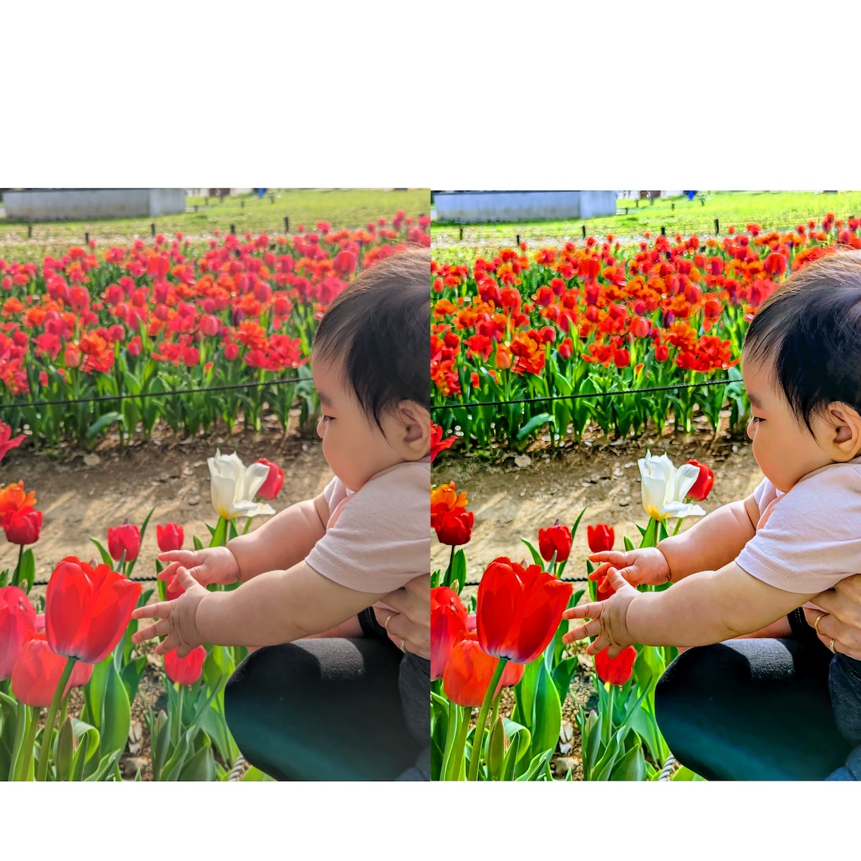 お気に入りの写真をさらに良くします お気に入りの１枚を美しく仕上げます。 イメージ1