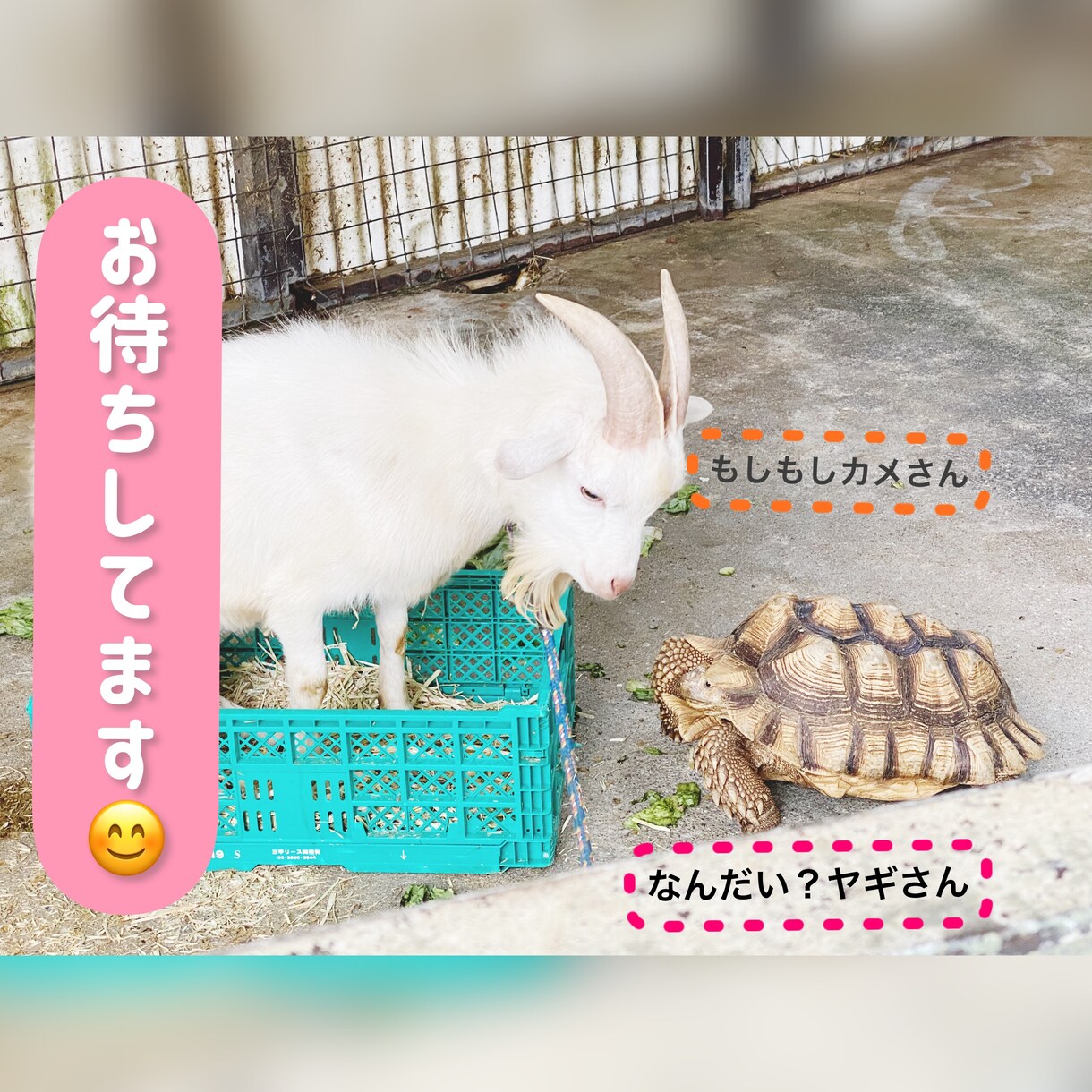 9:00〜22:00の間で無制限でお話します 反応が欲しい！メッセージが欲しい！という方におすすめです☆ イメージ4