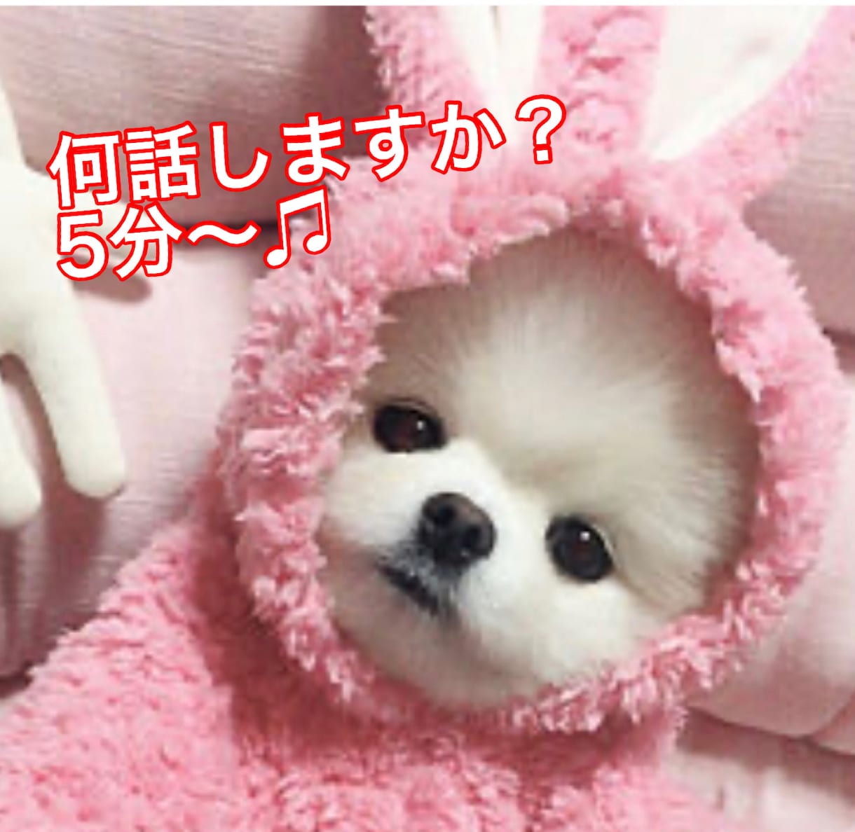 特別な⭐️クライエント様⭐️専用相談窓口作ります ⭐️ご予約可能になります⭐️ ♬shindoe Room♬ イメージ10