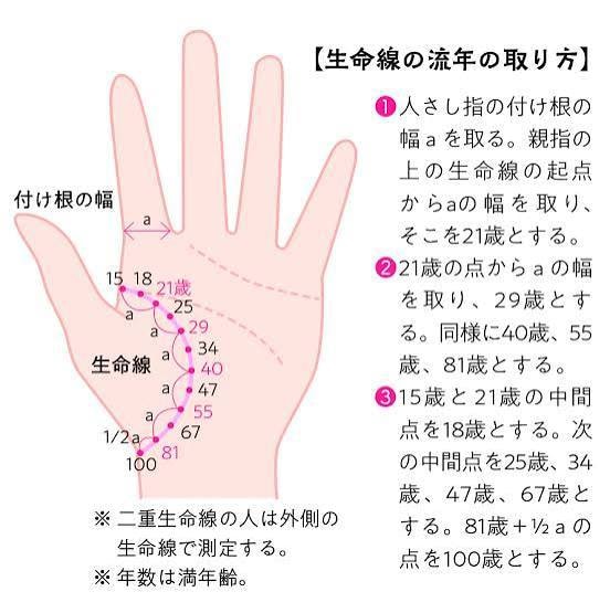 手相から性格や金運の傾向を読み取ります 新しい一年を見据えて理論的に分かりやすく解説 イメージ3
