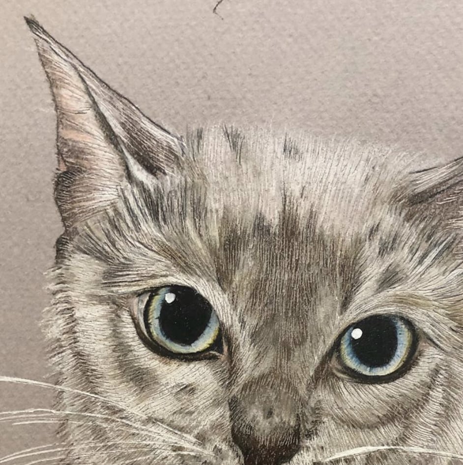 可愛いペット似顔絵描きます 猫ちゃんの思い出の1枚を残しませんか イメージ4