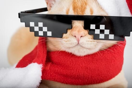愚痴などなんでも聞きます 学生ならではの意見やノリを届けます イメージ1
